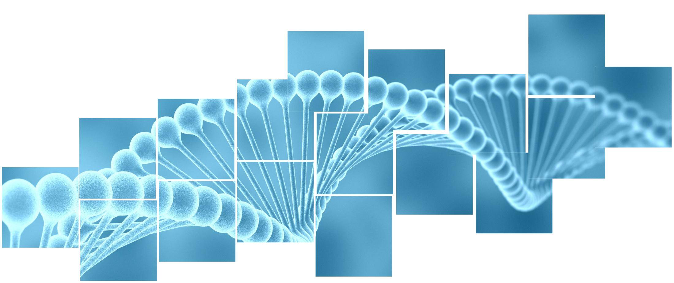 DNA puzzle