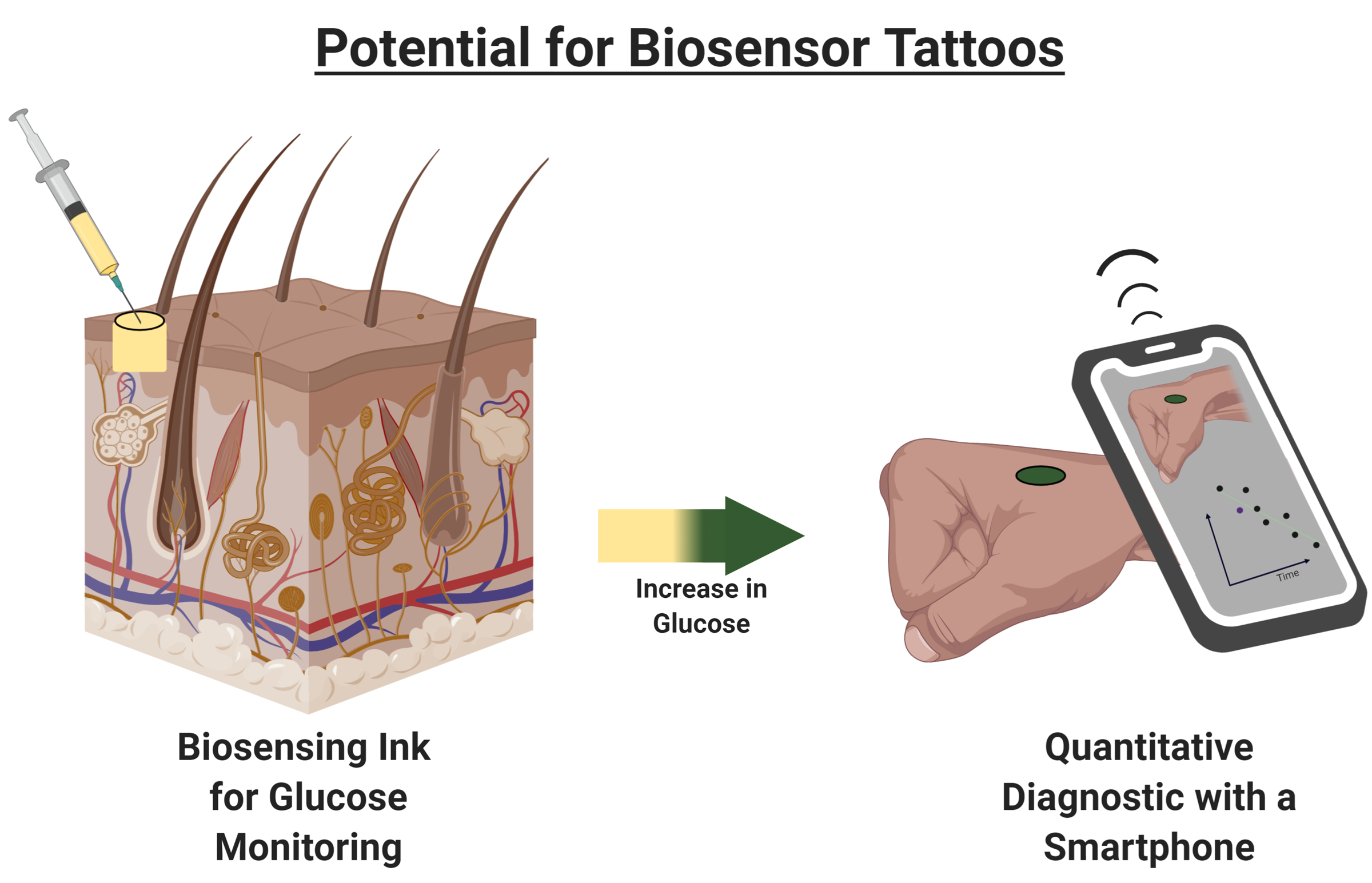 Figure 4 Potential for Biosensor Tattoos