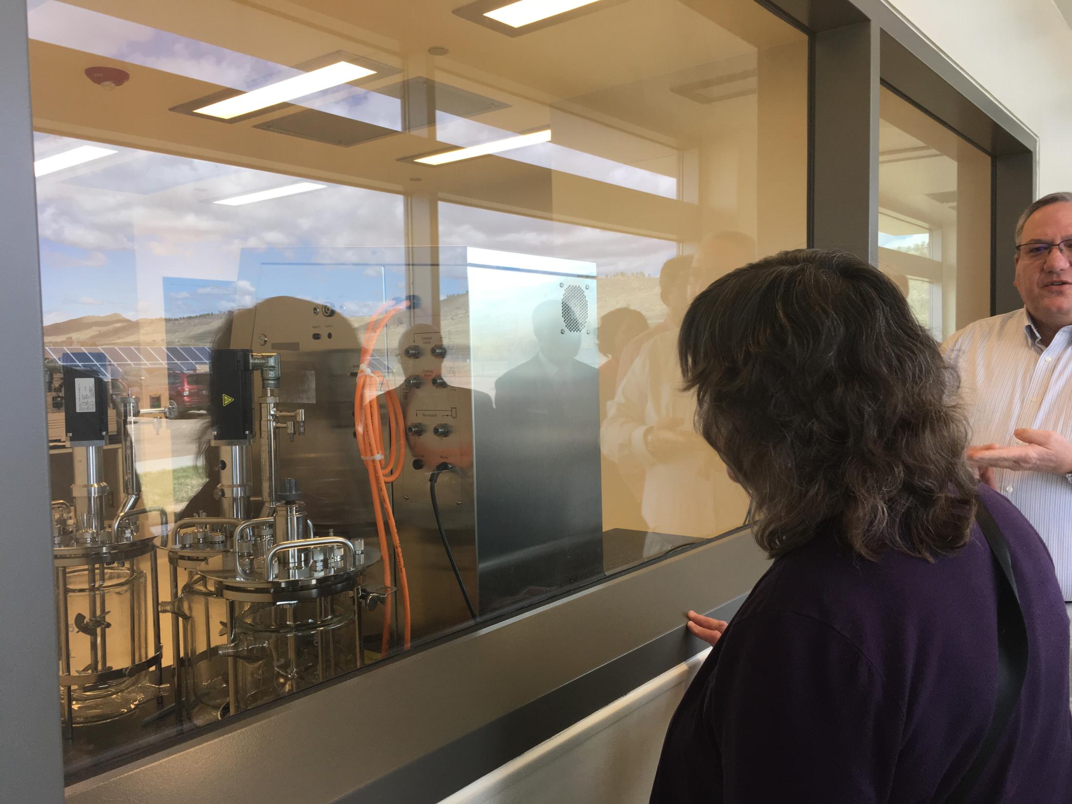 Karen McDonald touring RIC