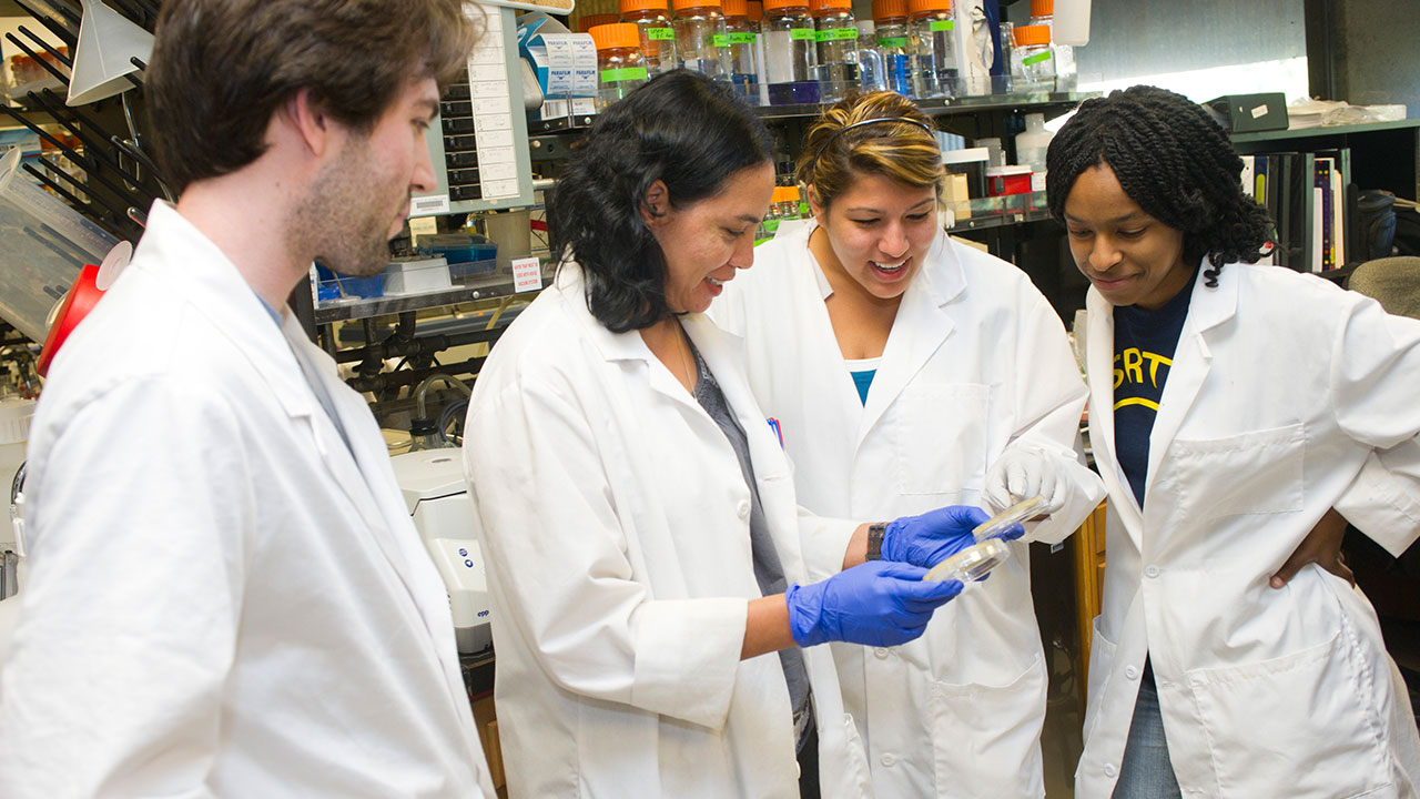 Overview UC Davis Biotechnology Program