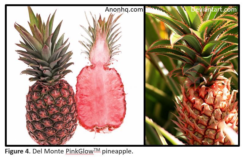 GE Pink Pineapple