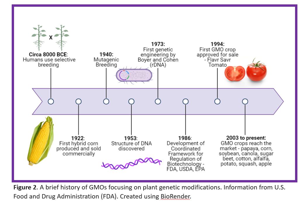 GM Crop Timeline