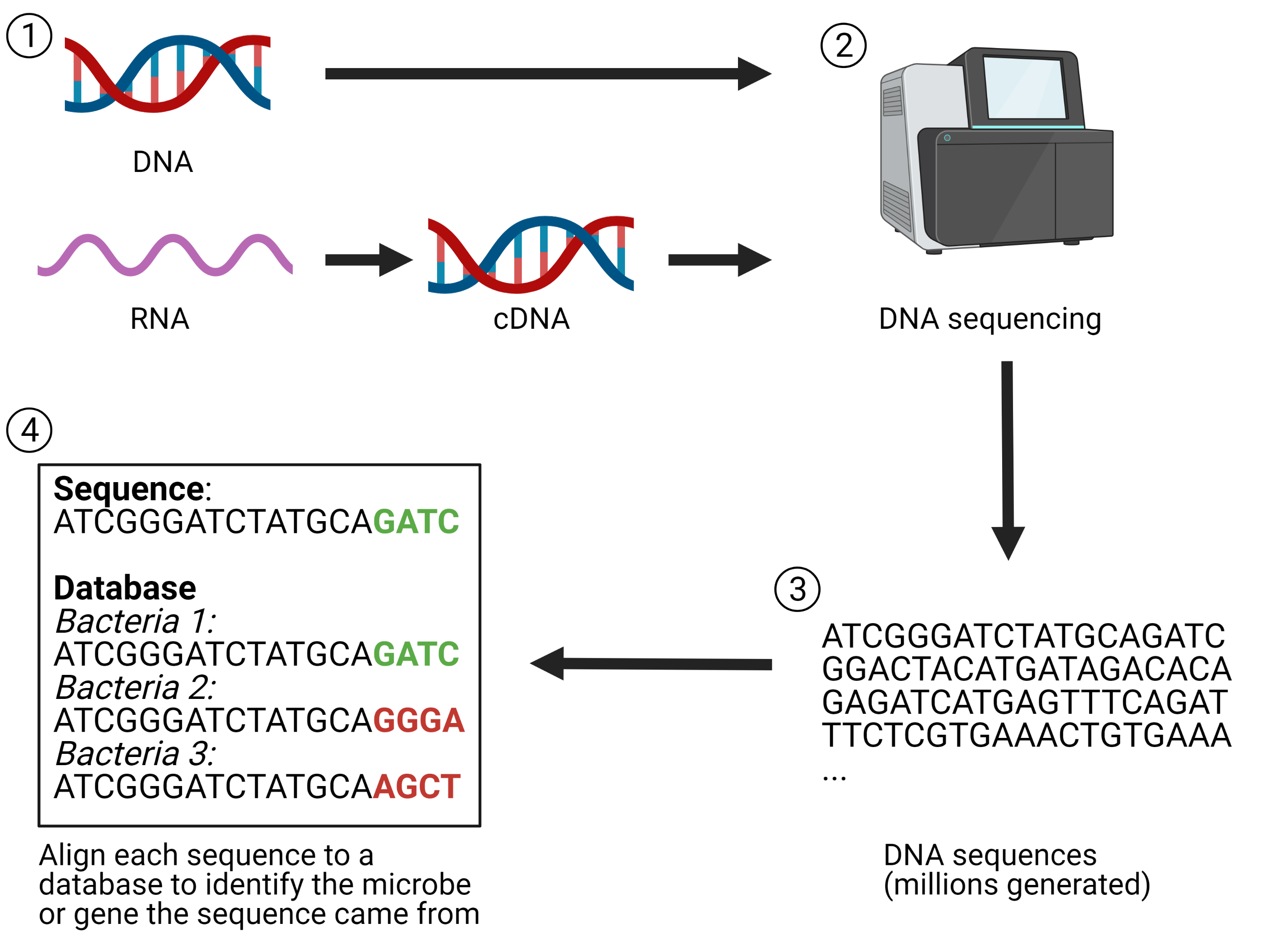 sequencing analysis