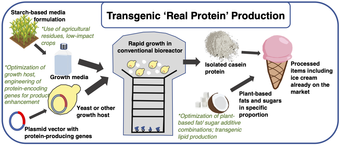 transgenic animal protein production