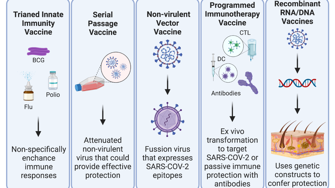 COVID-19 vaccination strategies