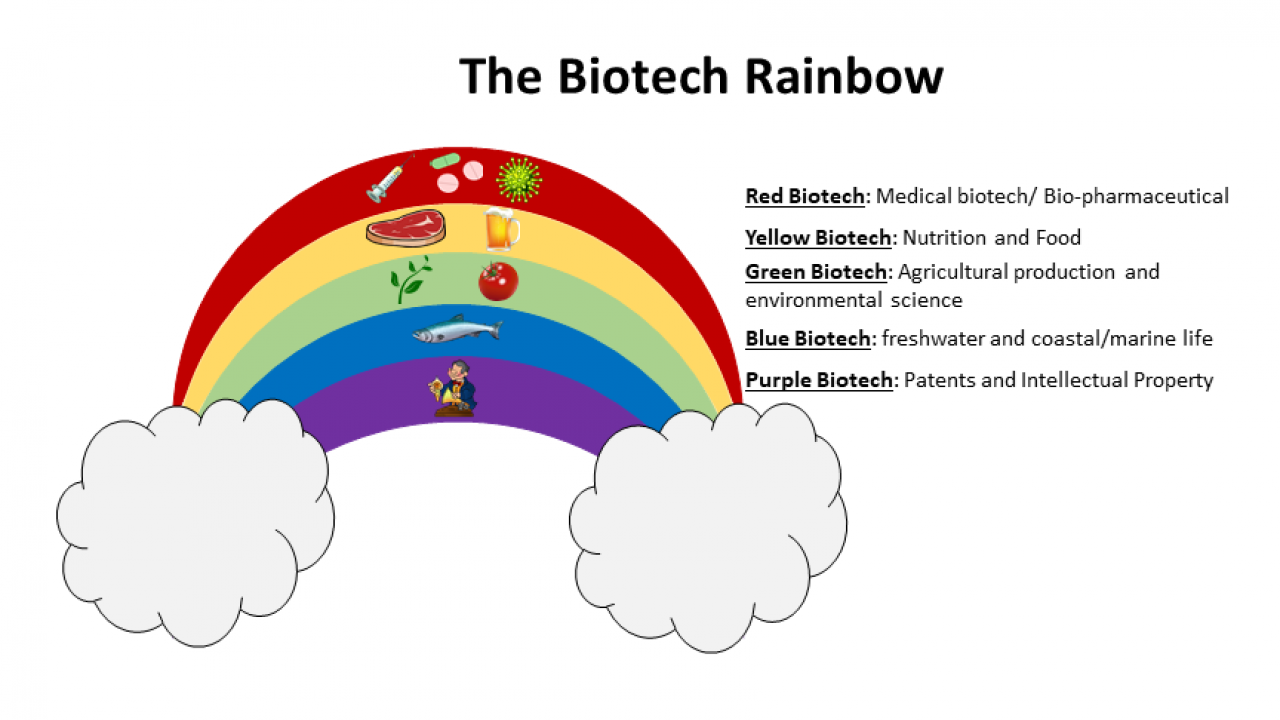 Biotech Rainbow