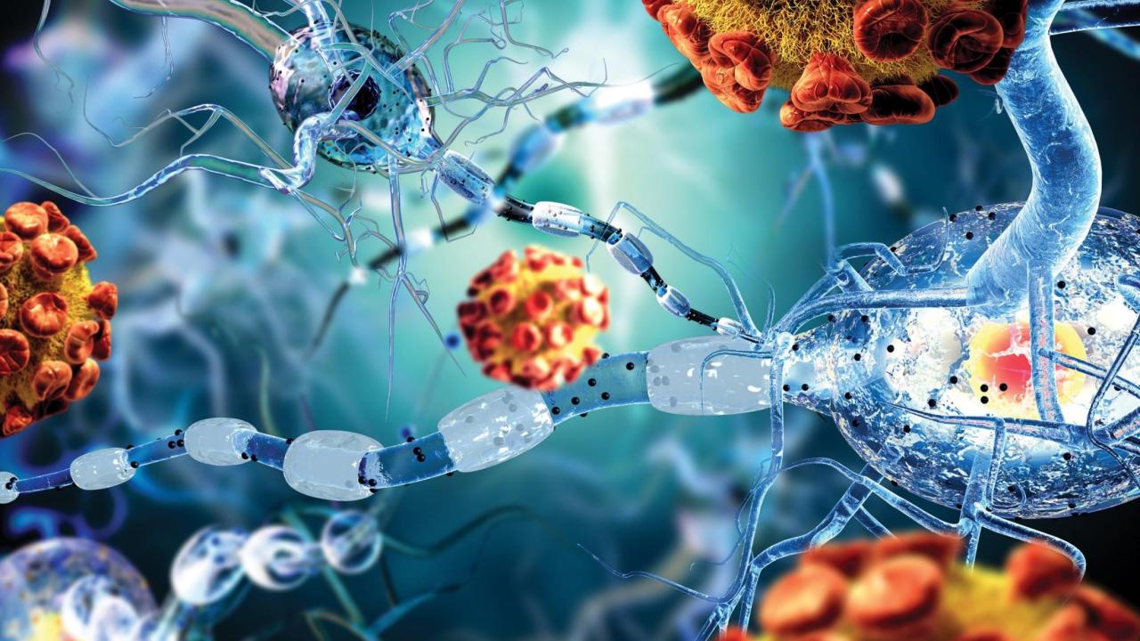 cell components