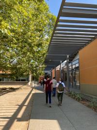 TurtleTree visits RMI