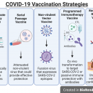 COVID-19 vaccination strategies