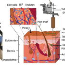 biosensor ink application