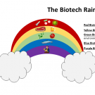 Biotech Rainbow