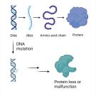 gene therapy approaches
