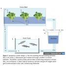 aquaponic system diagram