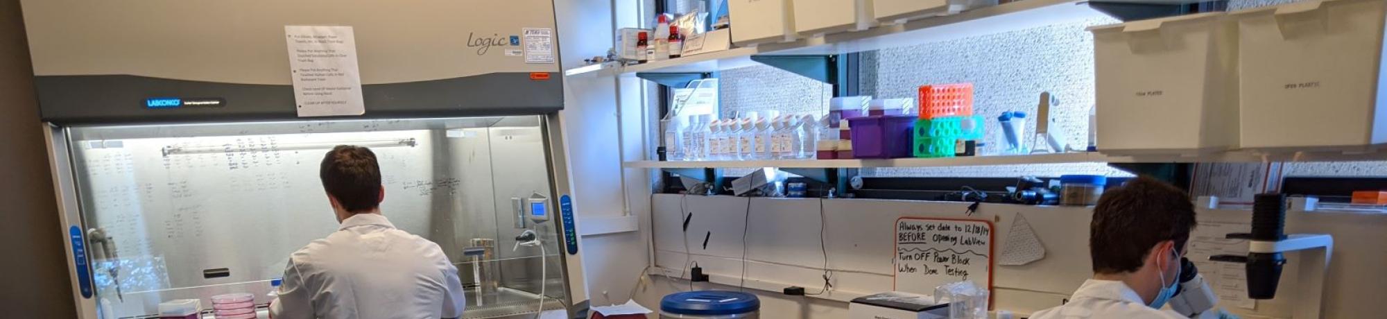 plating cells