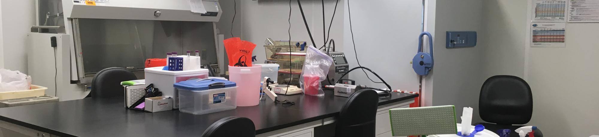 RIC lab